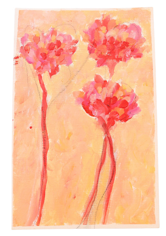 Sherbet 2